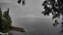 ./images/koeye/fitz-hugh/20250517/fitz-hugh20250517_072509M.jpg