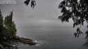 ./images/koeye/fitz-hugh/20250517/fitz-hugh20250517_073009M.jpg