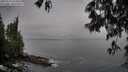 ./images/koeye/fitz-hugh/20250517/fitz-hugh20250517_074510M.jpg