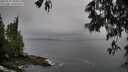 ./images/koeye/fitz-hugh/20250517/fitz-hugh20250517_080011M.jpg