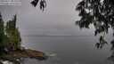./images/koeye/fitz-hugh/20250517/fitz-hugh20250517_081011M.jpg