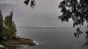 ./images/koeye/fitz-hugh/20250517/fitz-hugh20250517_081511M.jpg