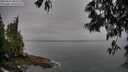 ./images/koeye/fitz-hugh/20250517/fitz-hugh20250517_082011M.jpg