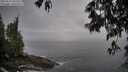 ./images/koeye/fitz-hugh/20250517/fitz-hugh20250517_085008M.jpg