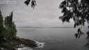 ./images/koeye/fitz-hugh/20250517/fitz-hugh20250517_090009M.jpg