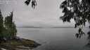 ./images/koeye/fitz-hugh/20250517/fitz-hugh20250517_090509M.jpg