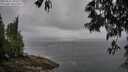 ./images/koeye/fitz-hugh/20250517/fitz-hugh20250517_101010M.jpg