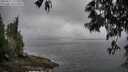 ./images/koeye/fitz-hugh/20250517/fitz-hugh20250517_101510M.jpg