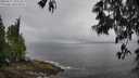 ./images/koeye/fitz-hugh/20250517/fitz-hugh20250517_102510M.jpg