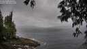 ./images/koeye/fitz-hugh/20250517/fitz-hugh20250517_104510M.jpg