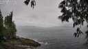 ./images/koeye/fitz-hugh/20250517/fitz-hugh20250517_105509M.jpg