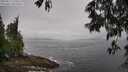 ./images/koeye/fitz-hugh/20250517/fitz-hugh20250517_110509M.jpg