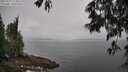 ./images/koeye/fitz-hugh/20250517/fitz-hugh20250517_113009M.jpg
