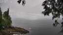 ./images/koeye/fitz-hugh/20250517/fitz-hugh20250517_113508M.jpg