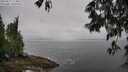 ./images/koeye/fitz-hugh/20250517/fitz-hugh20250517_114009M.jpg