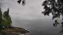 ./images/koeye/fitz-hugh/20250517/fitz-hugh20250517_115510M.jpg