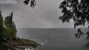 ./images/koeye/fitz-hugh/20250517/fitz-hugh20250517_121507M.jpg
