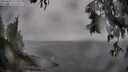 ./images/koeye/fitz-hugh/20250517/fitz-hugh20250517_122510M.jpg