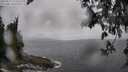./images/koeye/fitz-hugh/20250517/fitz-hugh20250517_125510M.jpg