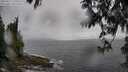 ./images/koeye/fitz-hugh/20250517/fitz-hugh20250517_130508M.jpg