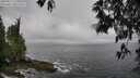 ./images/koeye/fitz-hugh/20250517/fitz-hugh20250517_135010M.jpg