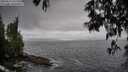 ./images/koeye/fitz-hugh/20250517/fitz-hugh20250517_141510M.jpg