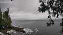 ./images/koeye/fitz-hugh/20250517/fitz-hugh20250517_142009M.jpg