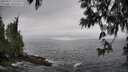 ./images/koeye/fitz-hugh/20250517/fitz-hugh20250517_142510M.jpg
