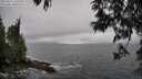 ./images/koeye/fitz-hugh/20250517/fitz-hugh20250517_143510M.jpg