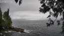 ./images/koeye/fitz-hugh/20250517/fitz-hugh20250517_144511M.jpg