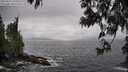 ./images/koeye/fitz-hugh/20250517/fitz-hugh20250517_145010M.jpg