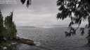 ./images/koeye/fitz-hugh/20250517/fitz-hugh20250517_145508M.jpg