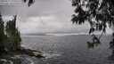 ./images/koeye/fitz-hugh/20250517/fitz-hugh20250517_150011M.jpg