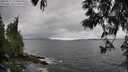./images/koeye/fitz-hugh/20250517/fitz-hugh20250517_151010M.jpg