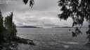 ./images/koeye/fitz-hugh/20250517/fitz-hugh20250517_154010M.jpg