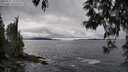 ./images/koeye/fitz-hugh/20250517/fitz-hugh20250517_154511M.jpg