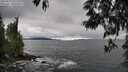 ./images/koeye/fitz-hugh/20250517/fitz-hugh20250517_155510M.jpg