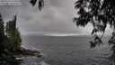 ./images/koeye/fitz-hugh/20250517/fitz-hugh20250517_160510M.jpg