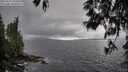 ./images/koeye/fitz-hugh/20250517/fitz-hugh20250517_161010M.jpg