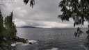./images/koeye/fitz-hugh/20250517/fitz-hugh20250517_163510M.jpg
