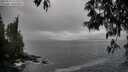 ./images/koeye/fitz-hugh/20250517/fitz-hugh20250517_164511M.jpg