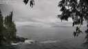 ./images/koeye/fitz-hugh/20250517/fitz-hugh20250517_165010M.jpg