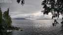 ./images/koeye/fitz-hugh/20250517/fitz-hugh20250517_172008M.jpg