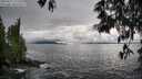 ./images/koeye/fitz-hugh/20250517/fitz-hugh20250517_172510M.jpg