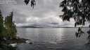 ./images/koeye/fitz-hugh/20250517/fitz-hugh20250517_174011M.jpg
