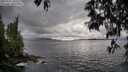 ./images/koeye/fitz-hugh/20250517/fitz-hugh20250517_180511M.jpg