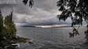 ./images/koeye/fitz-hugh/20250517/fitz-hugh20250517_183509M.jpg