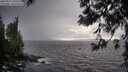 ./images/koeye/fitz-hugh/20250517/fitz-hugh20250517_190507M.jpg