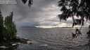 ./images/koeye/fitz-hugh/20250517/fitz-hugh20250517_191508M.jpg