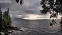 ./images/koeye/fitz-hugh/20250517/fitz-hugh20250517_192508M.jpg